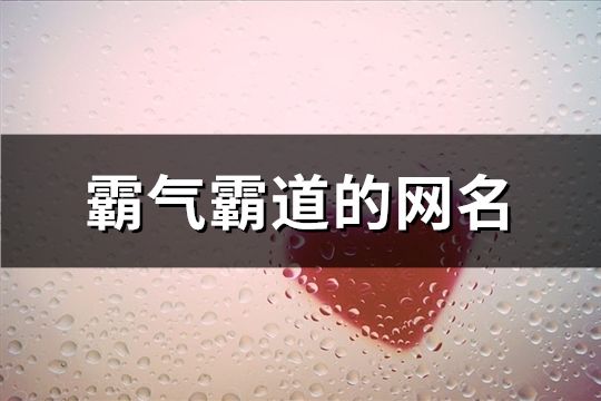 霸气霸道的网名(精选563个)