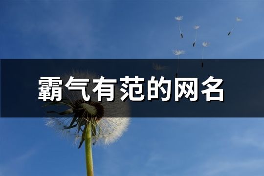 霸气有范的网名(687个)