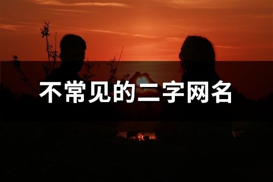 不常见的二字网名(精选1305个)