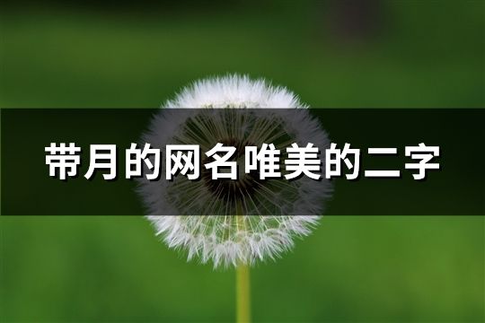 带月的网名唯美的二字(精选84个)