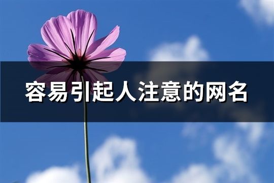 容易引起人注意的网名(共661个)