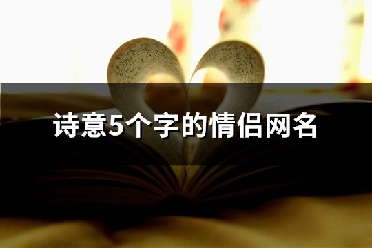 诗意5个字的情侣网名(共99对)