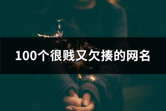 100个很贱又欠揍的网名