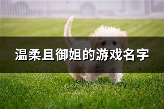 温柔且御姐的游戏名字(共136个)