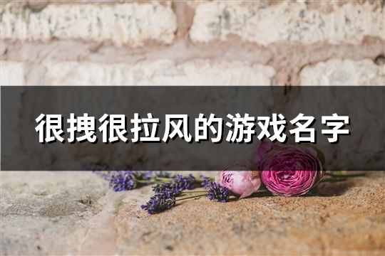 很拽很拉风的游戏名字(共103个)